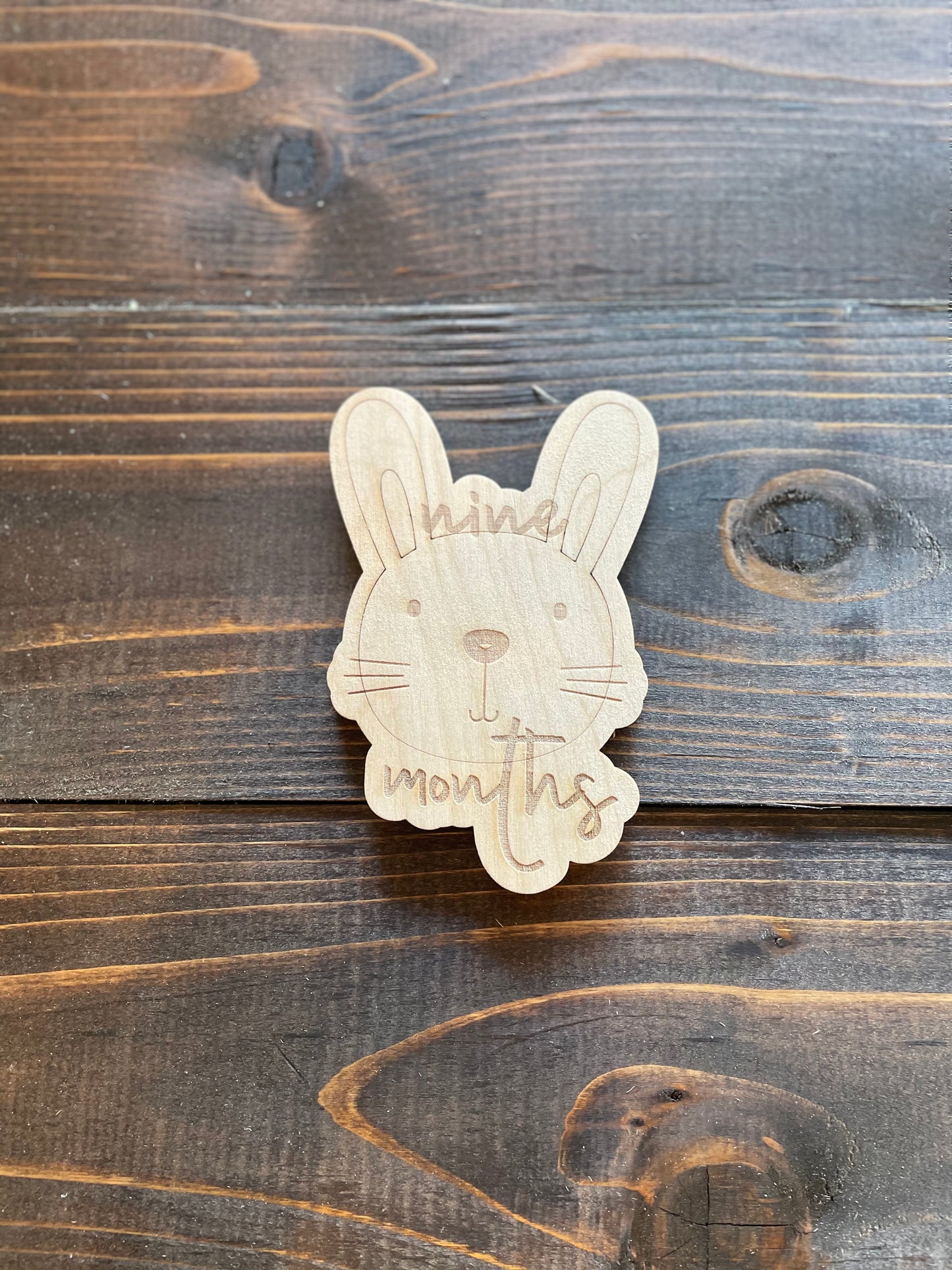 Milestone Card Bunny Face 9 Months