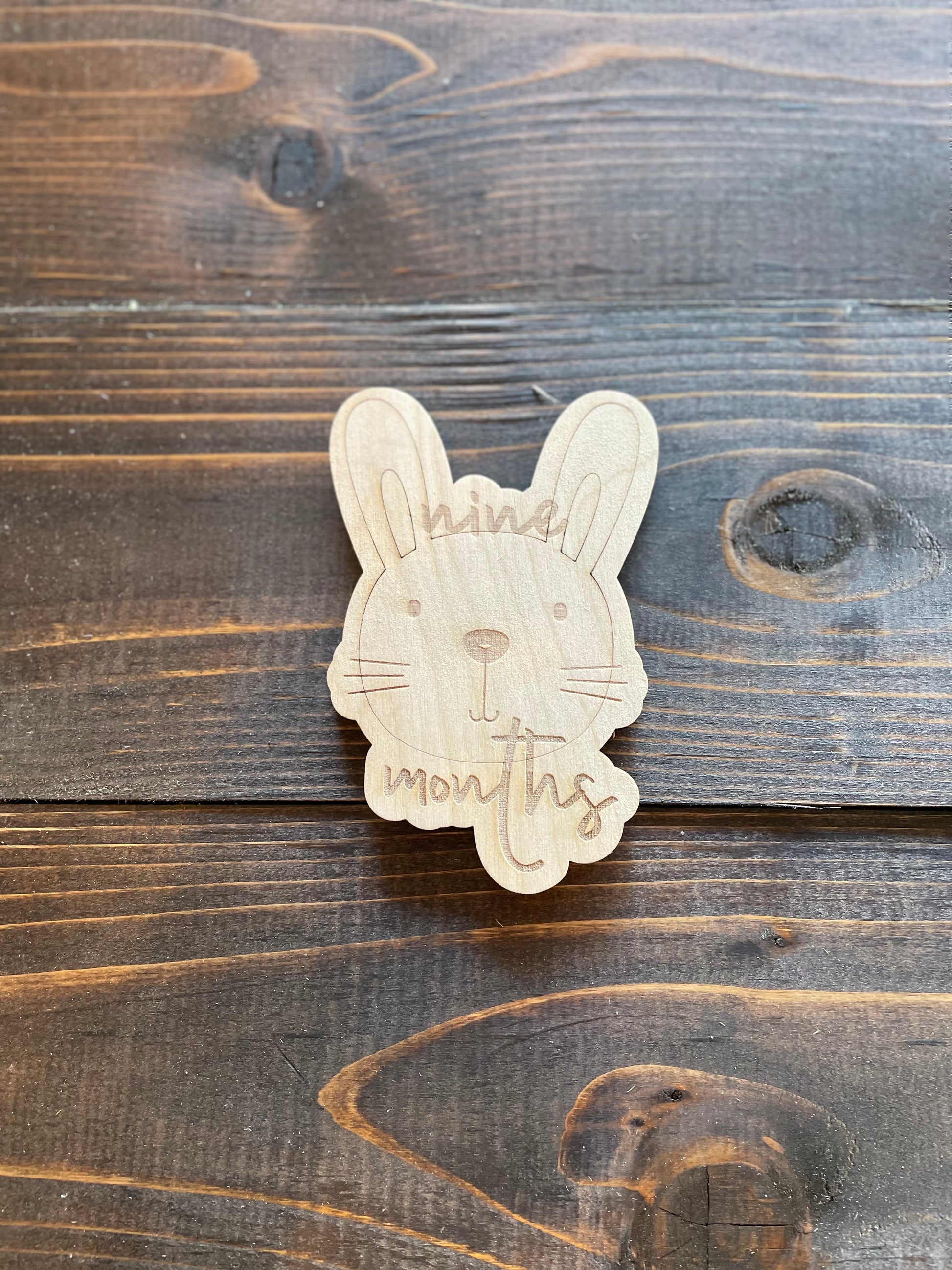 Milestone Card Bunny Face 9 Months